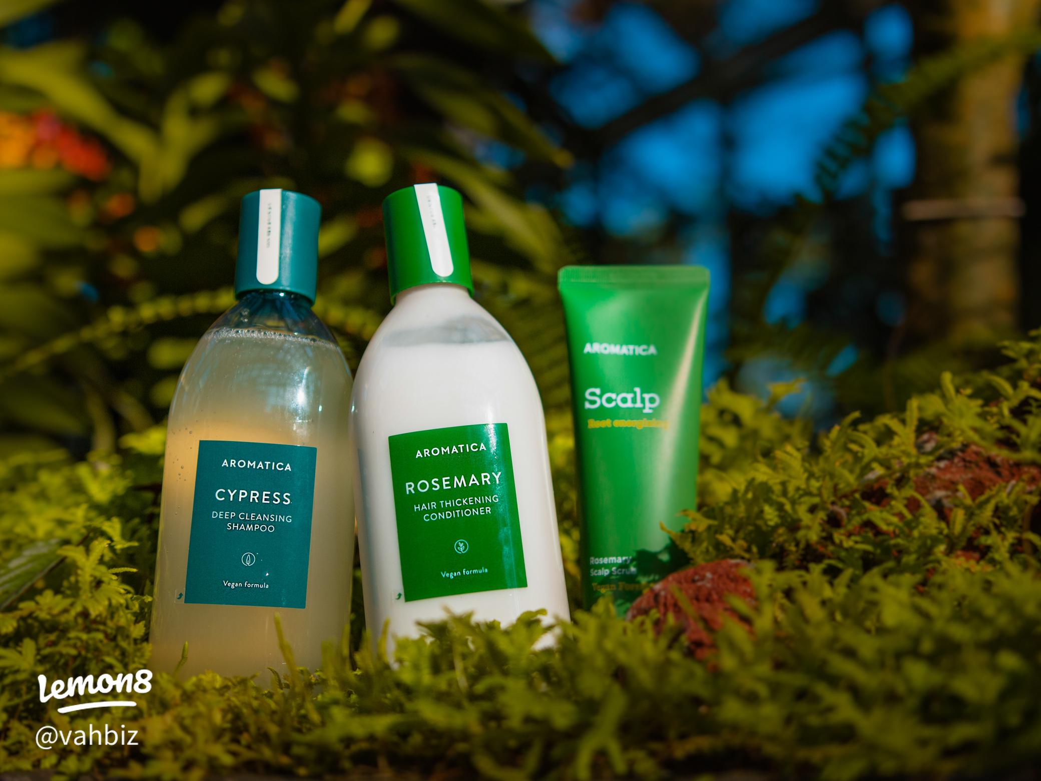 Glow Up Beauty Store -Glow Up Beauty Store 274d68e1173042d994a0d99271c8956ftplv sdweummd6v text logo v1 QHZhaGJpeg q75