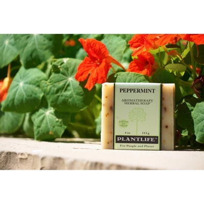 Plantlife Peppermint Bar Soap - Moisturizing And Soothing Soap For Your Skin - Hand Crafted Using Plant-Based Ingredients - Made In California 4oz Bar 5 Plantlife Peppermint Bar Soap - Moisturizing And Soothing Soap For Your Skin - Hand Crafted Using Plant-Based Ingredients - Made In California 4oz Bar - Image 3