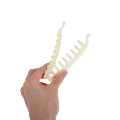 Unique Bargains Women's Fashion Banana Hair Clips 4 Pcs 4 Unique Bargains Women's Fashion Banana Hair Clips 4 Pcs - Image 2