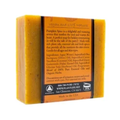 Pumpkin Spice Bar Soap 2-Pack | Cozy Aromatherapy Cleanser With Warm, Spiced Scent | Natural Daily Body Care | Plantlife