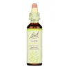 Bach Flower Remedies Essence Olive - 0.7 Fl Oz -Glow Up Beauty Store GUEST 2a162658 6f30 41d7 8685 f6f23e6fefae