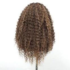 Jessie's Wig 22 Inch Curly 13*3.5 Synthetic Lace Wigs Blonde Highlights 1 Pc/Pack 20 Jessie's Wig 22 Inch Curly 13*3.5 Synthetic Lace Wigs Blonde Highlights 1 Pc/Pack -Glow Up Beauty Store GUEST 416e9da3 92f7 4aa7 b793 0a726c57bef2