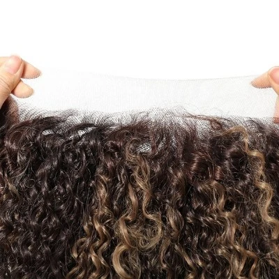 Jessie's Wig 22 Inch Curly 13*3.5 Synthetic Lace Wigs Blonde Highlights 1 Pc/Pack 5 Jessie's Wig 22 Inch Curly 13*3.5 Synthetic Lace Wigs Blonde Highlights 1 Pc/Pack - Image 3