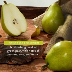 Native Limited Edition Fall Getaway Body Lotion - Crisp Pear & Cashmere - 16.5 Fl Oz -Glow Up Beauty Store GUEST 56842985 441f 4f14 a1bb d43e43367205