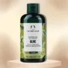 The Body Shop - Shower Gel Olive | Gives Elasticity To The Skin And Is Very Effective Against Stretch Marks. - (8.4 Oz) -Glow Up Beauty Store GUEST 6941e5fc ab0b 444f 8ae0 c65ee1f24b1b