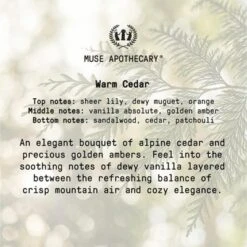 Muse Apothecary Hand Ritual - Aromatic And Nourishing Hand Soap, Infused With Natural Aromatherapy Essential Oils - 16 Oz, Warm Cedar, 2 Pack -Glow Up Beauty Store GUEST 6a76ee18 7d2c 4437 879f 42300c5b878a