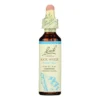 Bach Flower Remedies Essence Rock Water - 0.7 Fl Oz -Glow Up Beauty Store GUEST 6d79a90d f35c 4902 988b 2ef0a1635e38