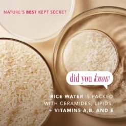 The Face Shop Rice Water Bright Vegan Cream - 1.69 Fl Oz 20 The Face Shop Rice Water Bright Vegan Cream - 1.69 Fl Oz -Glow Up Beauty Store GUEST 6f1393c6 c935 495a be8d fad4c61b2f36