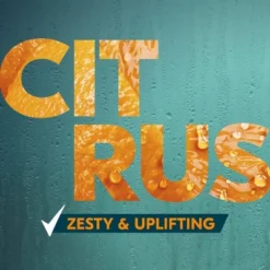 Degree® Degree All Day Fresh Body Wash - Citrus - 20 Fl Oz -Glow Up Beauty Store GUEST 79337e62 6544 44ed 9f8c b2f305158d10