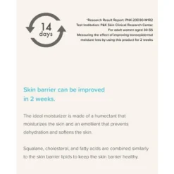 Olivarrier Comfort Barrier Cream -Glow Up Beauty Store GUEST 8c8bcc8f 6f1e 490e 9c74 5a498058626f