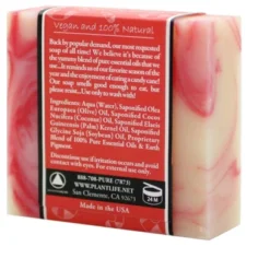 Candy Cane Bar Soap | Festive Peppermint Cleanser With Holiday Aroma | Natural Face & Body Care | Plantlife