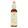 Bach Flower Remedies Essence Rock Rose - 0.7 Fl Oz -Glow Up Beauty Store GUEST 914eeac8 65ab 4765 b751 37a57f882313