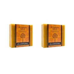 Pumpkin Spice Bar Soap 2-Pack | Cozy Aromatherapy Cleanser With Warm, Spiced Scent | Natural Daily Body Care | Plantlife -Glow Up Beauty Store GUEST 938e3c1e 1f6a 4f6e a0a6 7afeaf290fcc