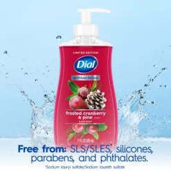 Dial Antibacterial Gold Liquid Hand Soap - 11 Fl Oz -Glow Up Beauty Store GUEST 9515243e 3bca 49ce b457 299a700d8786