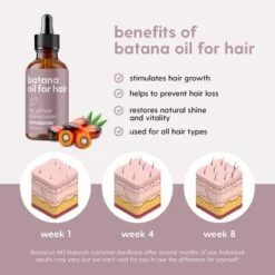 M3 Batana Oil, Unrefined Batana Hair Oil For Healthy Skin & Collagen Production, Moisturizes Scalp & Promotes Hair Strength, 2 Fl Oz -Glow Up Beauty Store GUEST a512c760 b58a 4403 9dbe f8a6c9b590b3