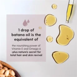 M3 Batana Oil, Unrefined Batana Hair Oil For Healthy Skin & Collagen Production, Moisturizes Scalp & Promotes Hair Strength, 2 Fl Oz -Glow Up Beauty Store GUEST b40d68b6 b44d 4403 b5ba 7127bc282d6b