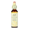Bach Flower Remedies Essence Scleranthus - 0.7 Fl Oz -Glow Up Beauty Store GUEST bfc09ed1 1288 49bc a460 395156136817