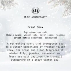 Muse Apothecary Hand Ritual - Aromatic And Nourishing Hand Soap, Infused With Natural Aromatherapy Essential Oils - 16 Oz, Fresh Snow, 2 Pack -Glow Up Beauty Store GUEST c6a2d9c0 939a 4132 9a76 d707c28618b4