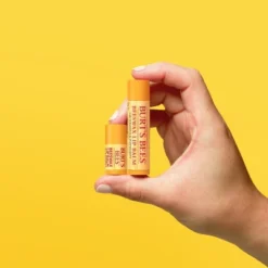 Burt's Bees Beeswax Lip Balm + Tinted Lip Balm - Halloween - 0.049oz/3ct -Glow Up Beauty Store GUEST e7b7b890 3345 4e09 99a3 12ef09478575 1
