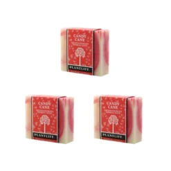 Candy Cane Bar Soap | Festive Peppermint Cleanser With Holiday Aroma | Natural Face & Body Care | Plantlife -Glow Up Beauty Store GUEST e9ff7774 c599 48ea 9c76 22550fde8b40